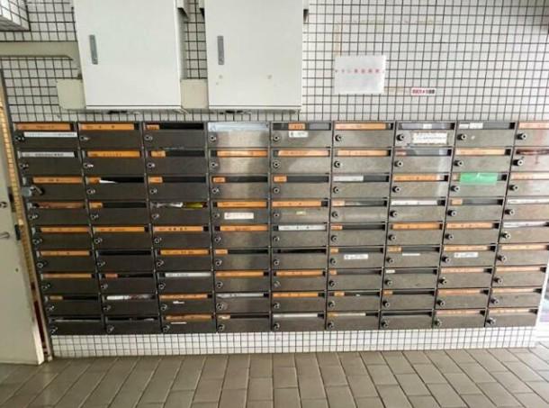 ライオンズマンション白山駅前