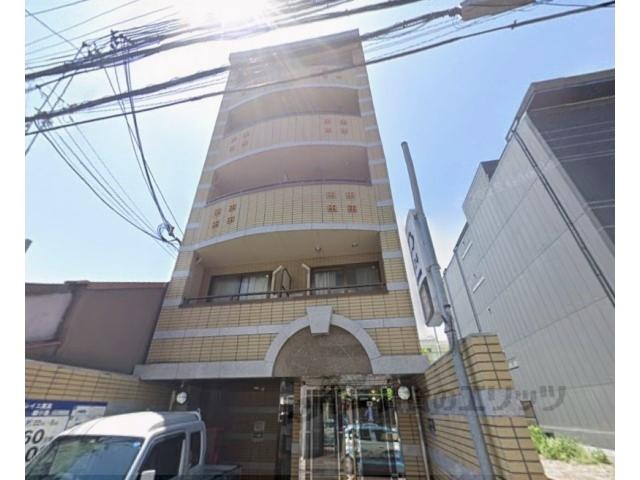 WILL SHIJO