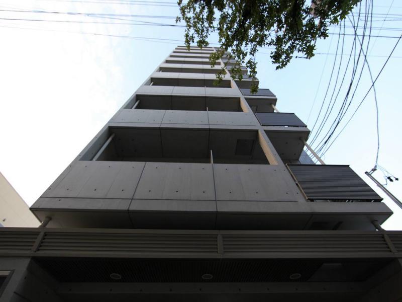 MS HOUSE 1