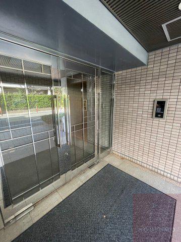 M・緑地