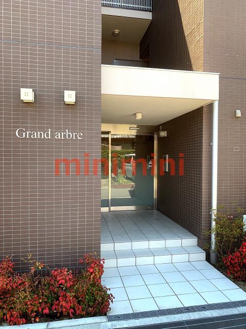GRAND ARBRE