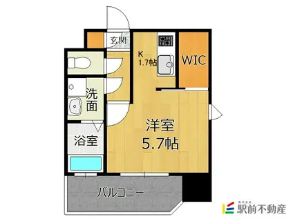 アルファシオリエンソ(1K/7階)の間取り写真