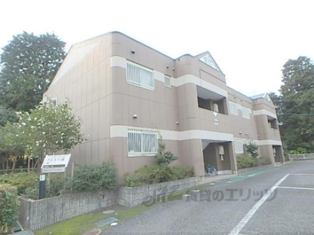 グレイス藤