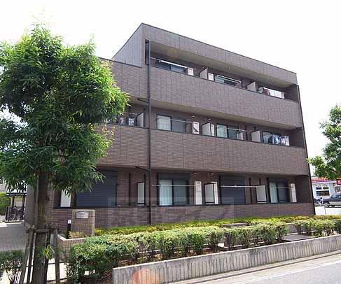 アンプルールリヒト