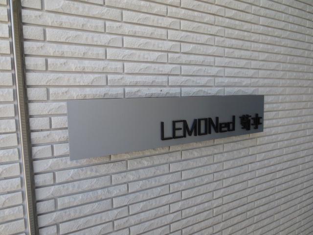 LEMONED 菊水