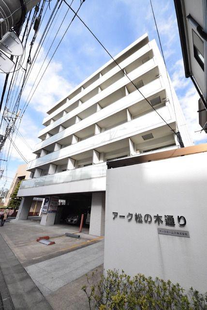 アーク松の木通