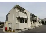 プラシード