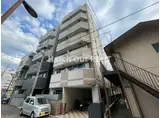 チェリーブロッサム