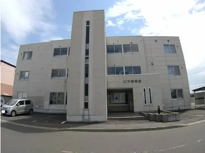 ビラ壱番館(2LDK/1階)の外観写真