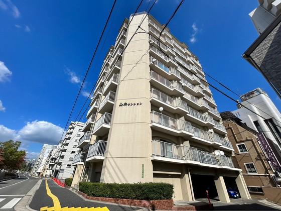 山本マンション(2DK/8階)