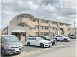 グリーン新柏