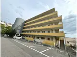 アロハ名谷