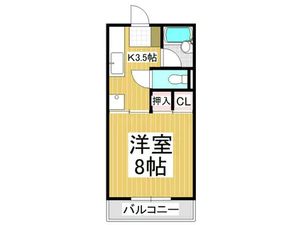 サンフラワーC棟(1K/1階)の間取り写真