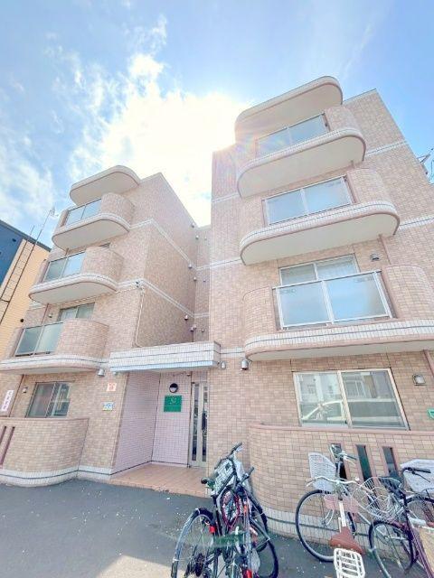 セントポーリアアイリス