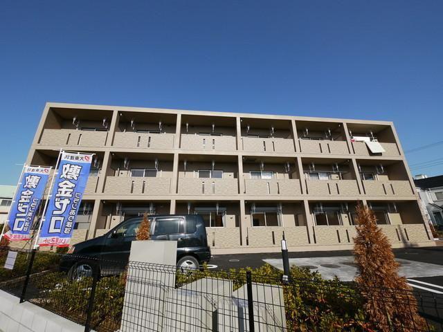 プリムローズ