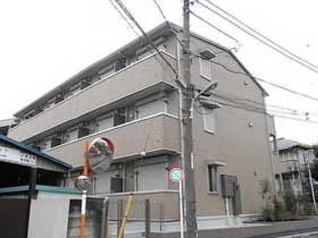 コリーヌタツミ