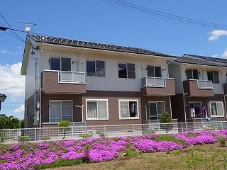 エイコーンB