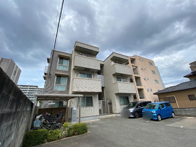 NEWメイプル原