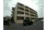 CLEMENT樹