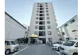 クイーンライフIMAZU
