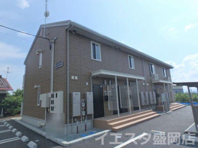 エバーグリーン