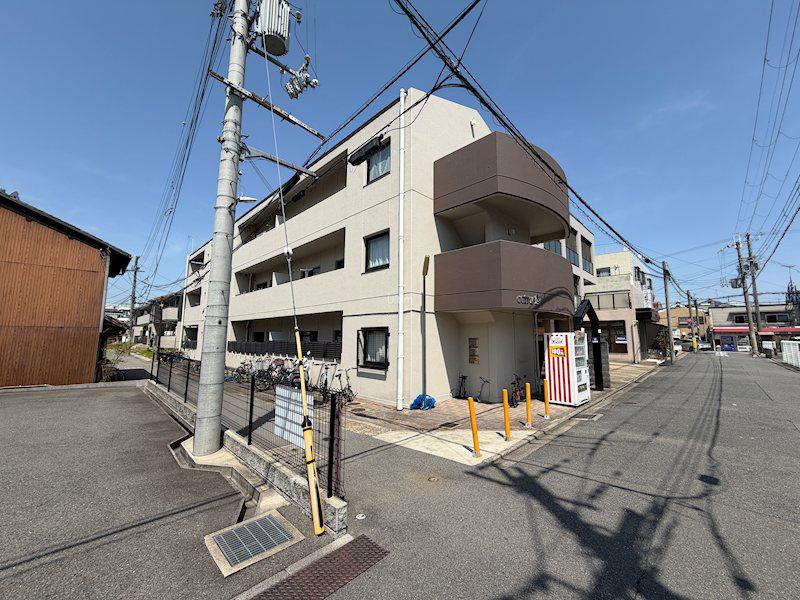 セトラI