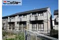 ラベンダー