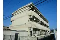 リンピアアムール