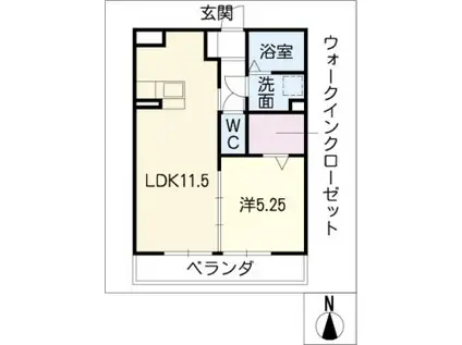 ラフィネ・マルモ505(1LDK/1階)の間取り写真