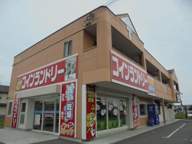 スカイ アイビー
