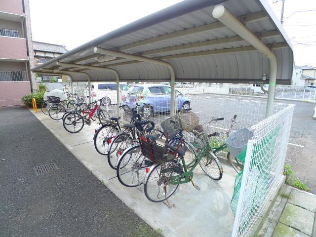 ブラウニーココ