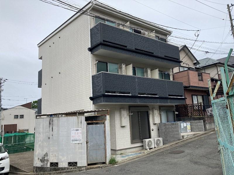 LIVE FLAT