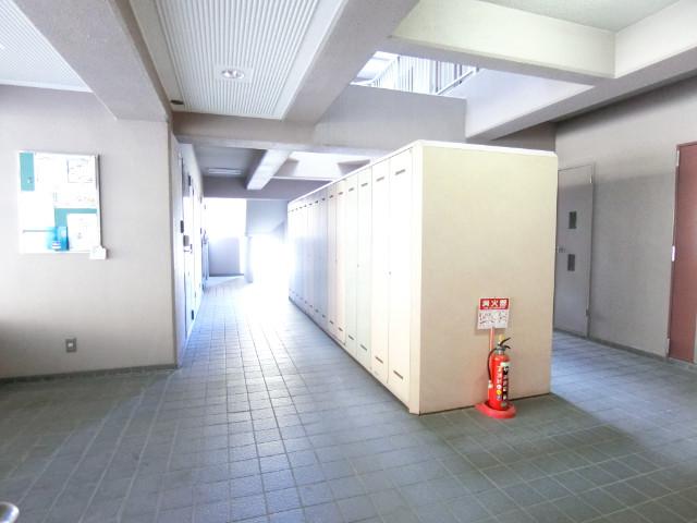 グレースハイム光