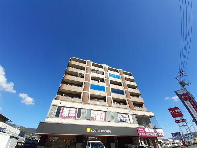 レオパルド国分寺(2LDK/4階)