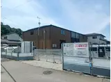 プリムラ