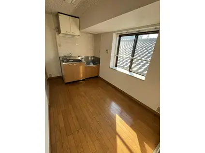 キャッスルスミレ(1K/4階)の居間写真