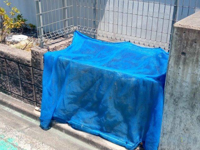 レオネクスト神村