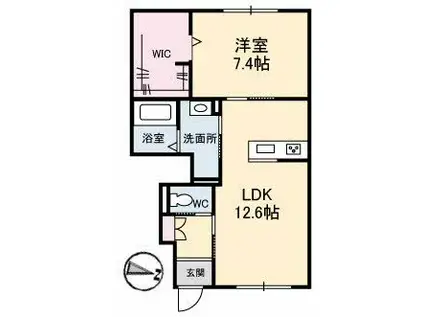 グリシーナ(1LDK/1階)の間取り写真