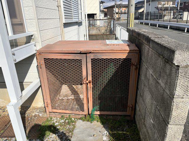 セントポーリア