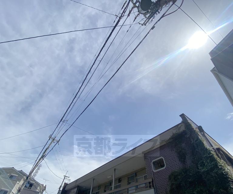 芝野荘