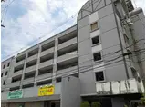 サンルミエール