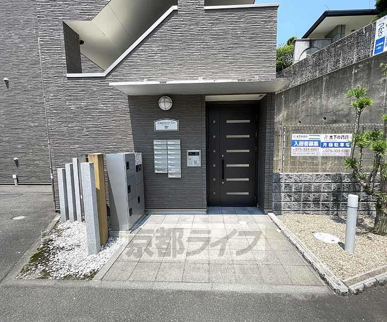 アンプルールフェール樹