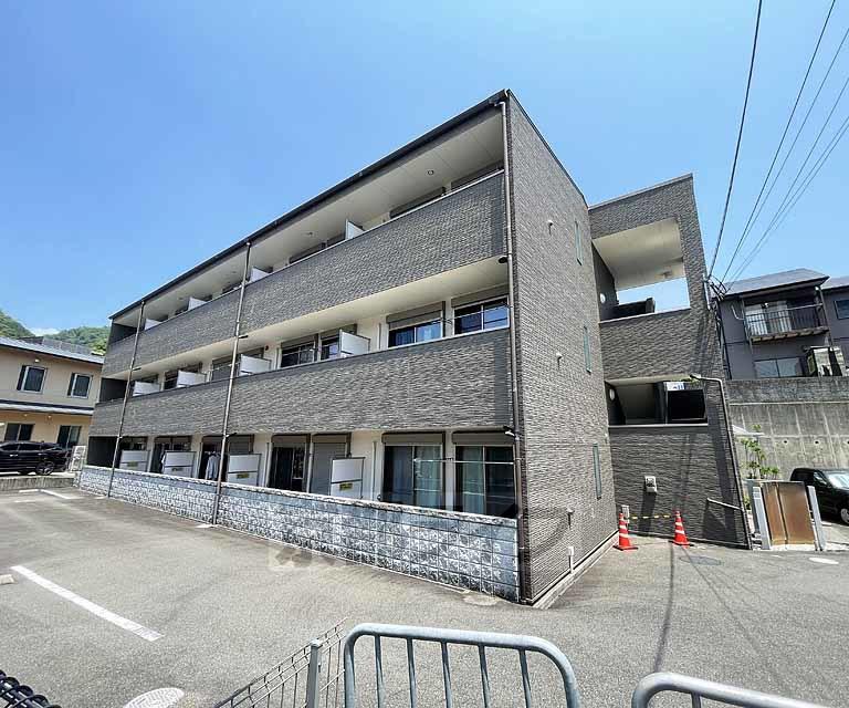 アンプルールフェール樹