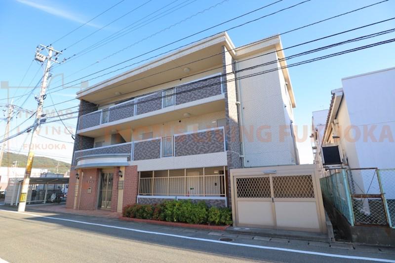 ドミール