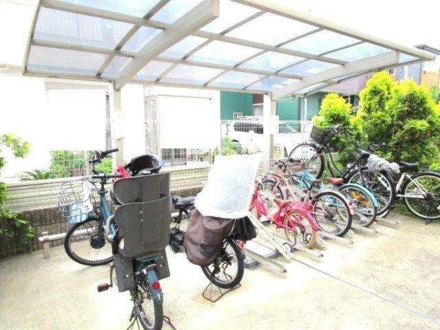 アルブル コインシデンス