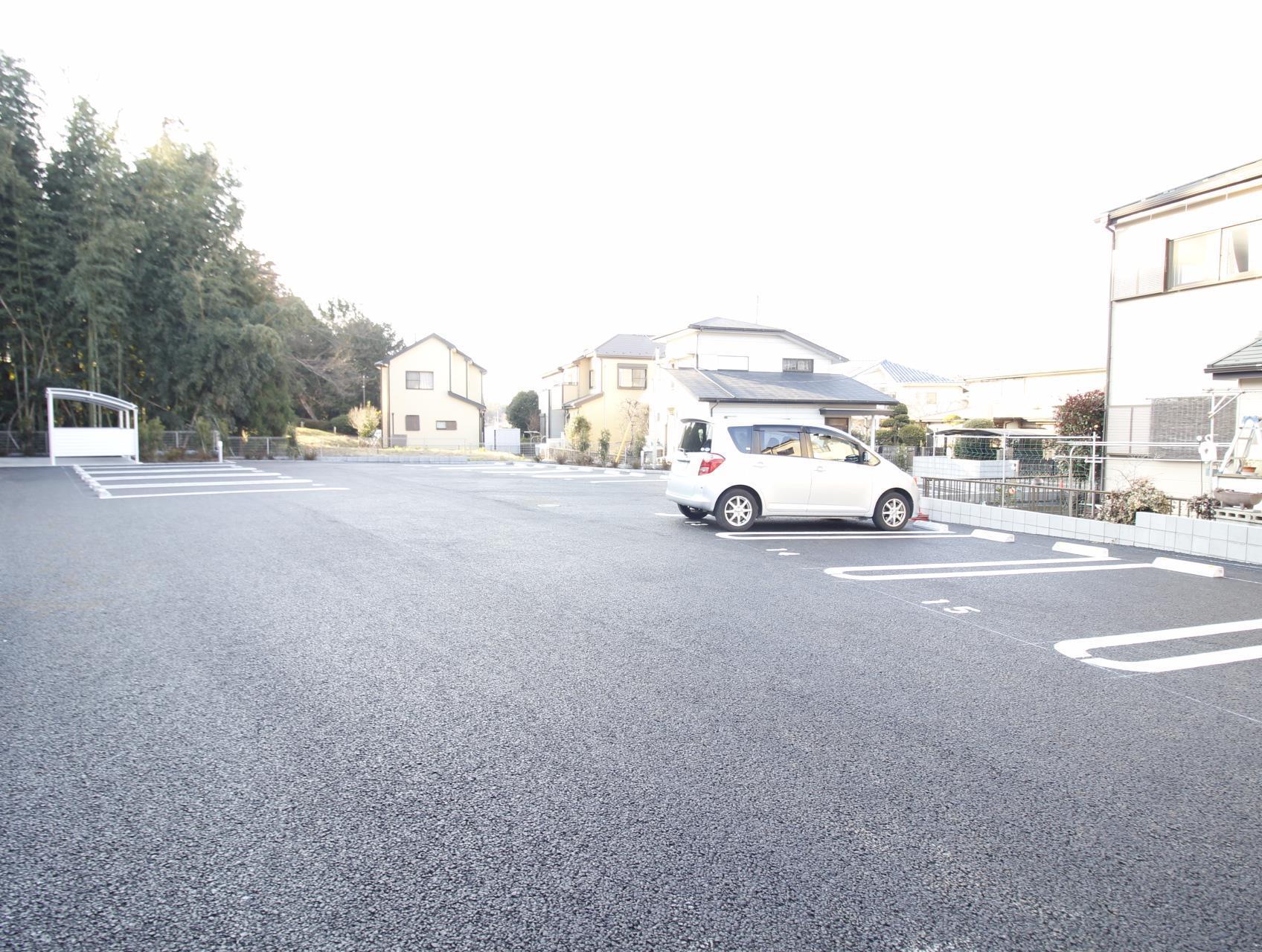 ティープラントV