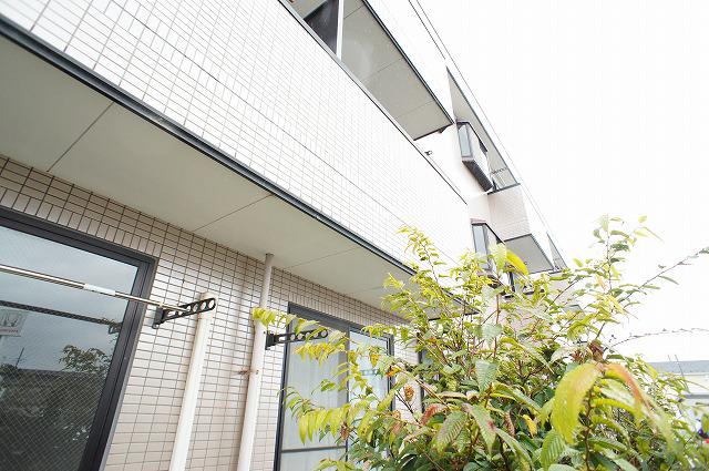 サンシャイン