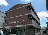 ティグリス枝川