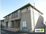 コッティ鳴門