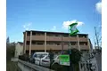 オリーブ白鷺
